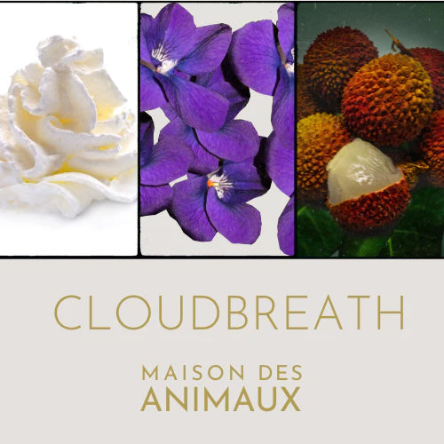 Cloudbreath