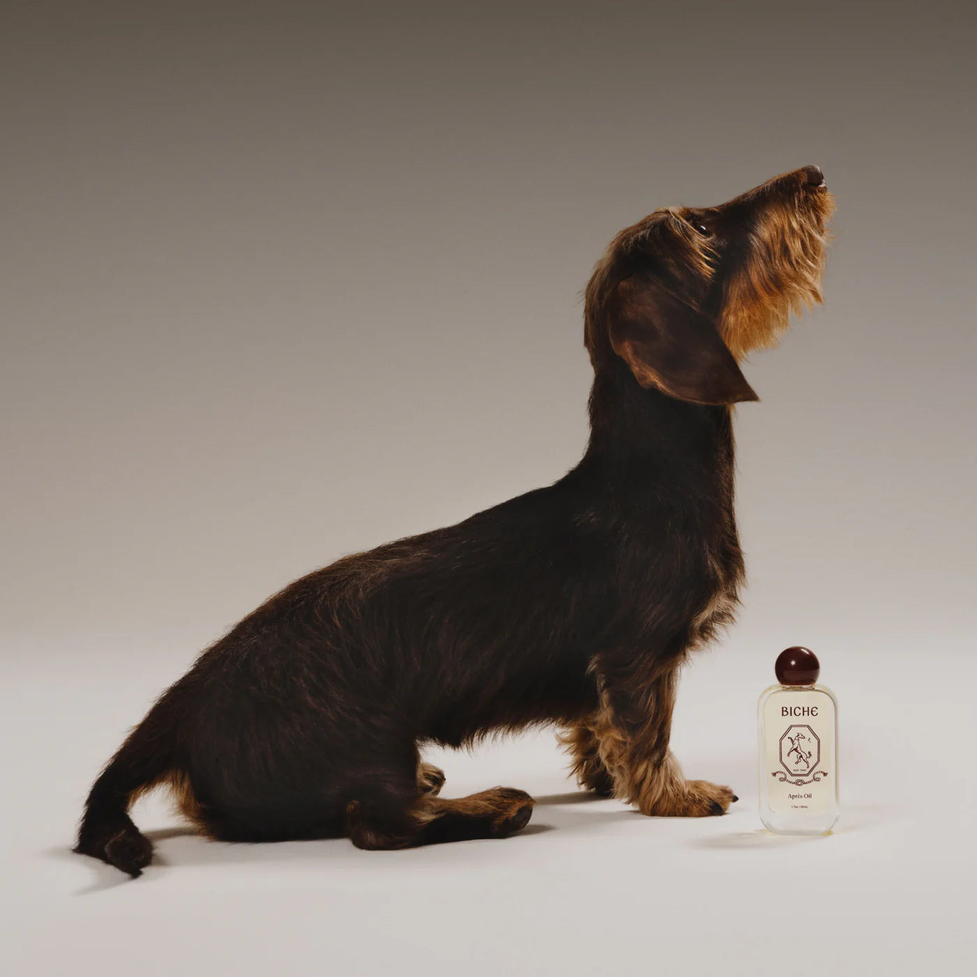 Après Oil - Coat & Skin Conditioner For Dogs