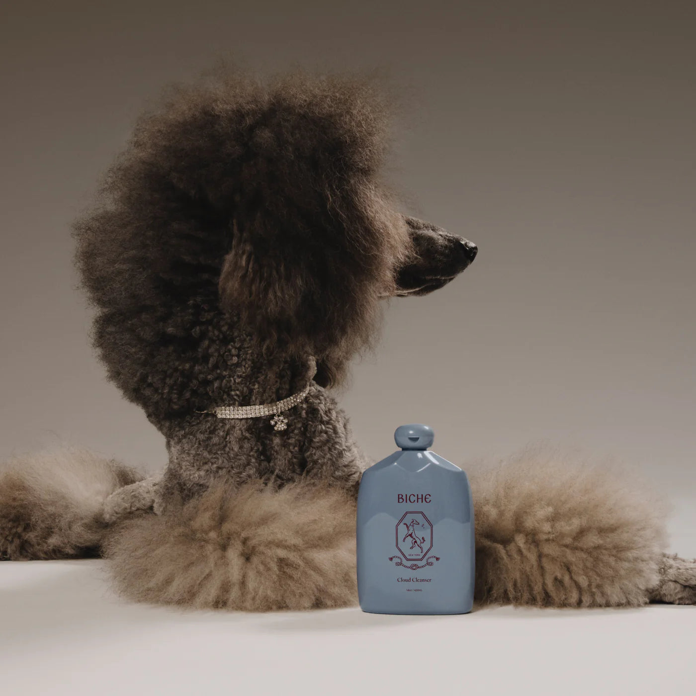 Cloud Cleanser - Gentle Shampoo For Dogs