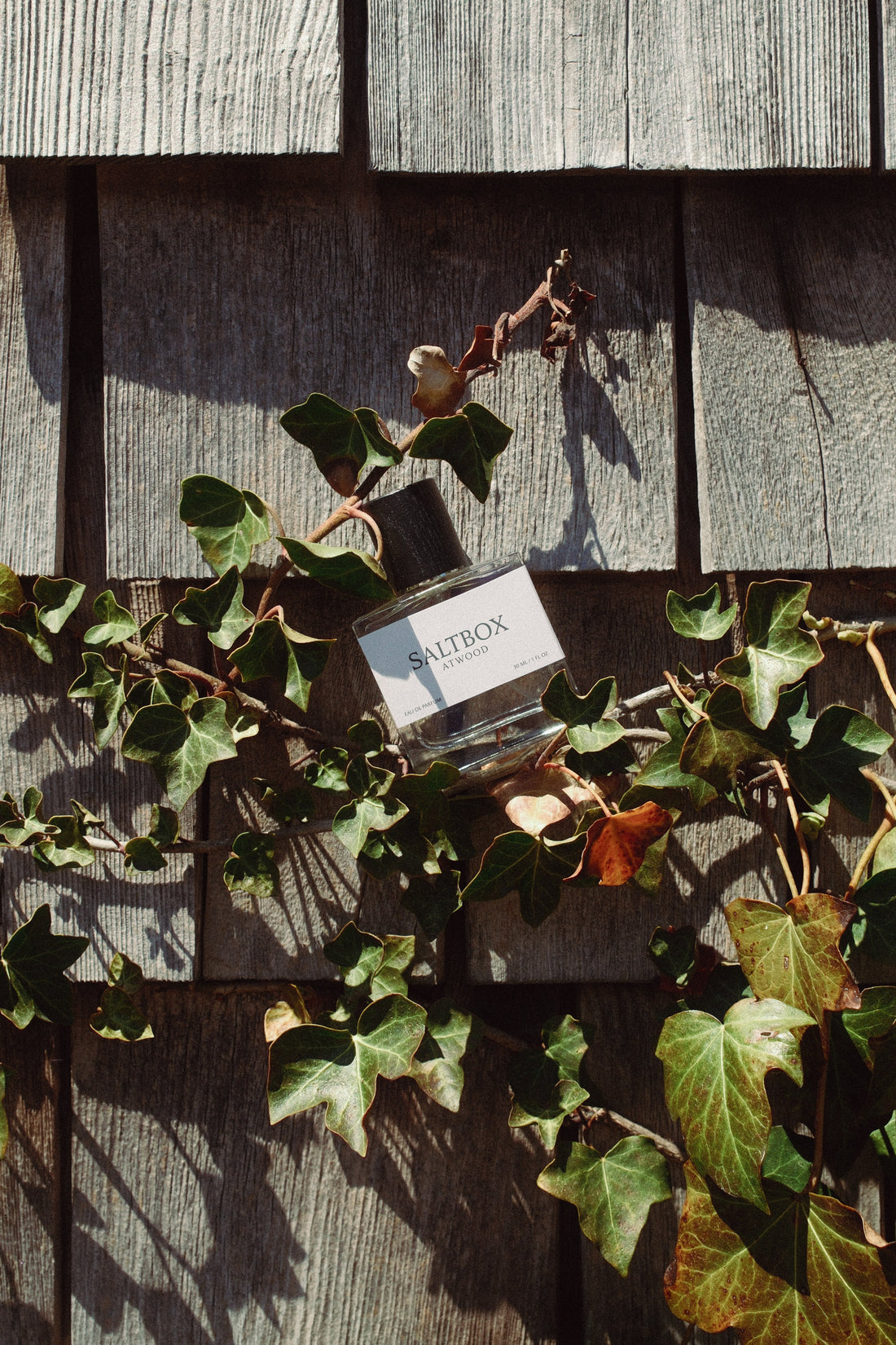 Saltbox