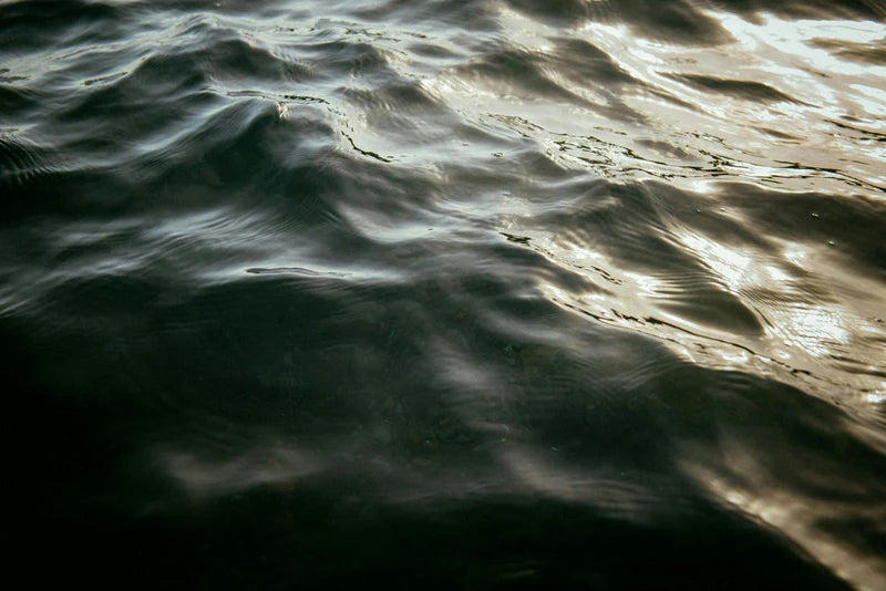Waves & Whispers