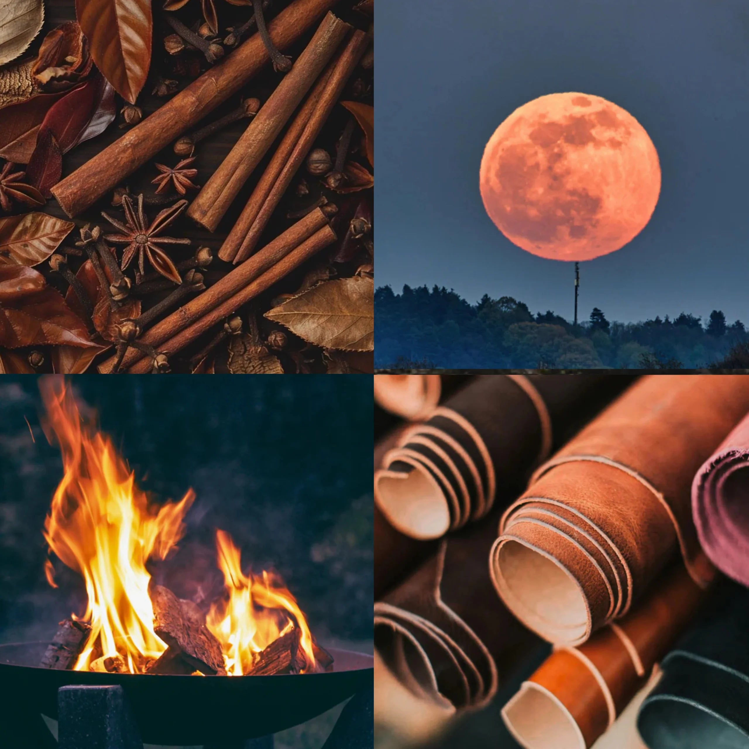 Harvest Moon