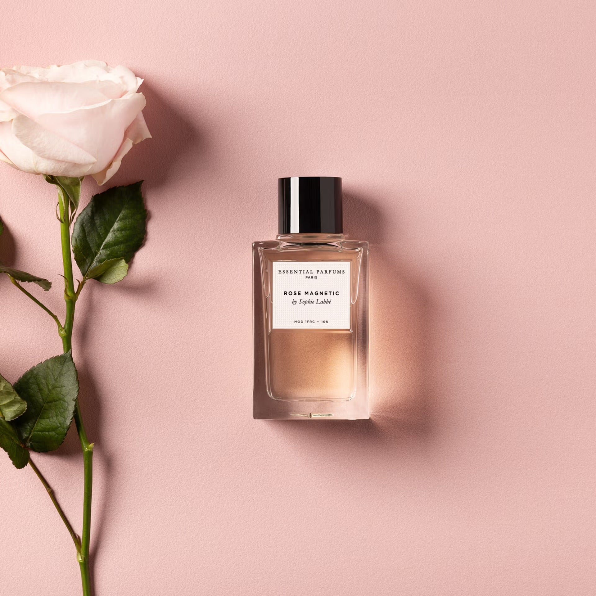 Rose Magnetic – Solvi