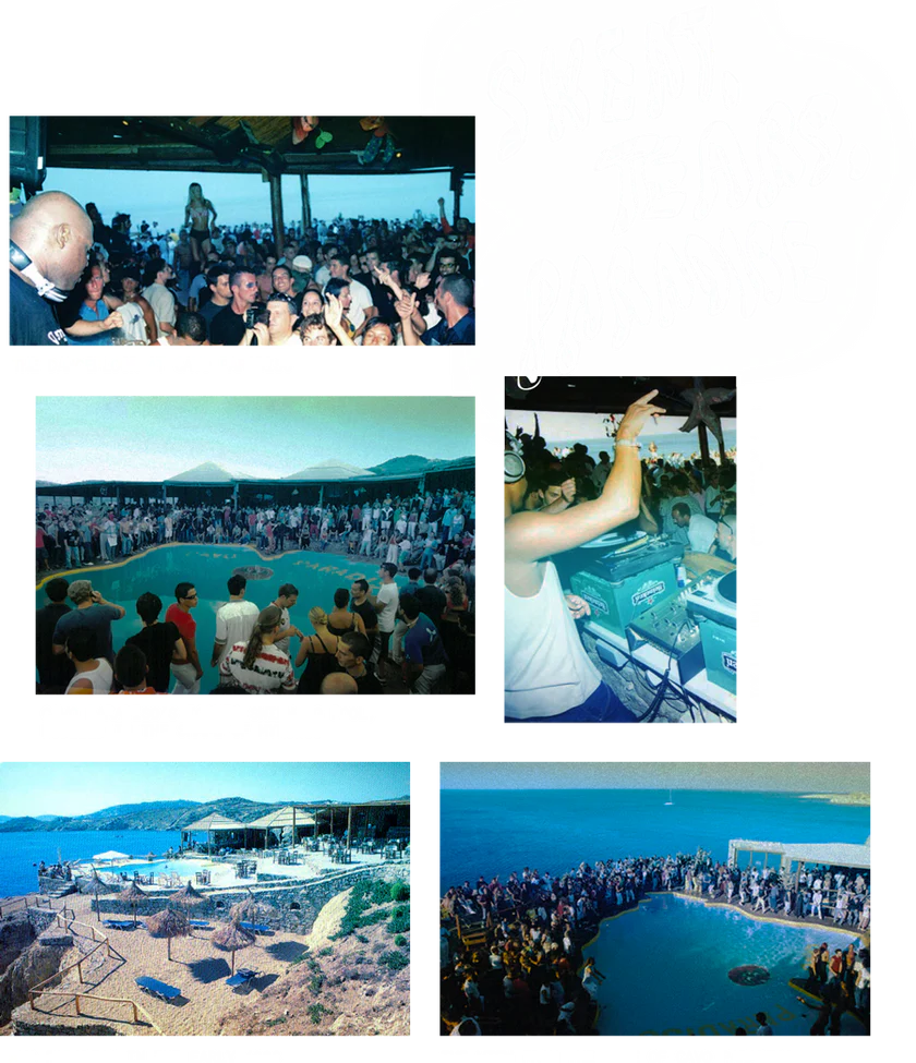 SWEAT, TEARS, PARADISE